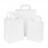 Pungi Hartie Cu Maner Rasucit, Alb/Natur Dimensiuni 250 x 110 x 300 mm, Tip Maner Sfoara, Material Hartie 90 gr/m2, Culoare A...