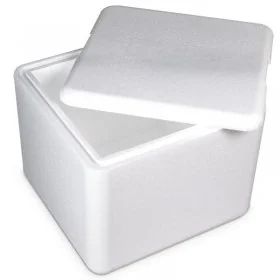 Cutii Termoizolante EPS Pentru Transport-Cutii Din Polistiren Expandat (EPS)