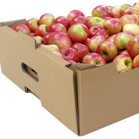 Ladite Carton Legume Si Fructe-Ladite Din Carton