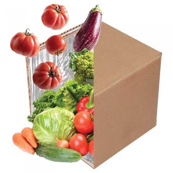 Cutie Termoizolanta Fresh Pack Kit