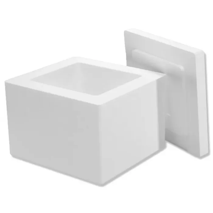 Cutii Termoizolante EPS Thermo Boxes-Cutii Termoizolante Cu Temperatura Controlata