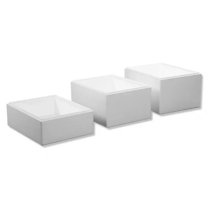 Cutii Termoizolante EPS Thermo Boxes-Cutii Termoizolante Cu Temperatura Controlata