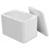 Cutii Termoizolante EPS Thermo Boxes-Cutii Termoizolante Cu Temperatura Controlata