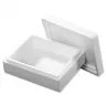 Cutii Termoizolante EPS Thermo Boxes-Cutii Termoizolante Cu Temperatura Controlata