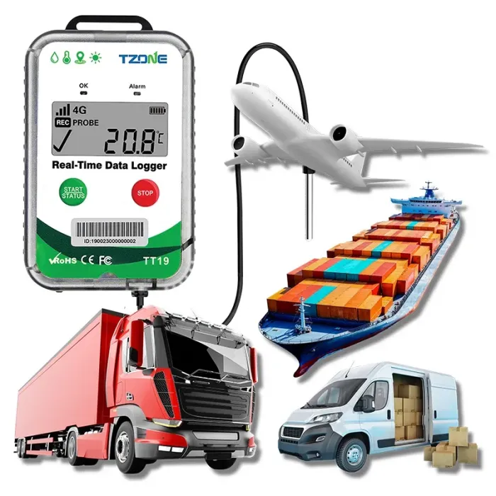 Termometru Digital TT19EX - Monitorizare Temperatura-Termometre Digitale Pentru Monitorizarea Temperaturii